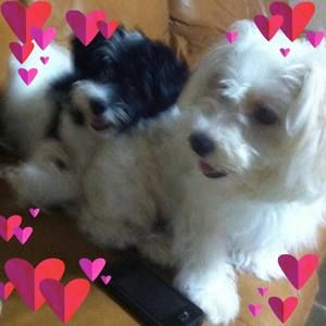 Meet your Posher, Maria